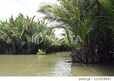 ベトナム ホイアンのマングローブ 121059681