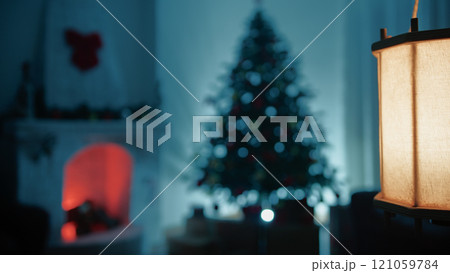 Christmas tree turned off in the dark night 121059784