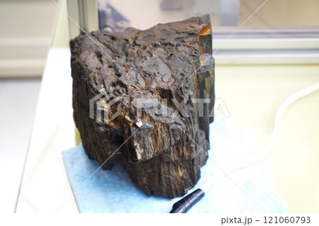 富岡製糸場　旧富岡製糸場　石炭　ブリュナエンジン　復元機　動態展示施設　横型単気筒蒸気機関 121060793