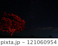 赤色に照らされる木と星空 121060954