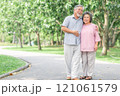 Happy senior couple walking in the park 121061579