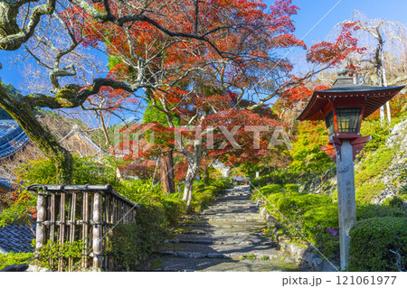 秋の京都 善峯寺 紅葉に包まれた境内 秋の京都 善峯寺 紅葉に包まれた境内 121061977