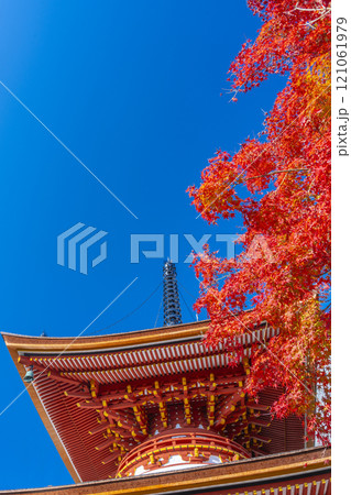 秋の京都　善峯寺　紅葉に包まれた多宝塔 121061979