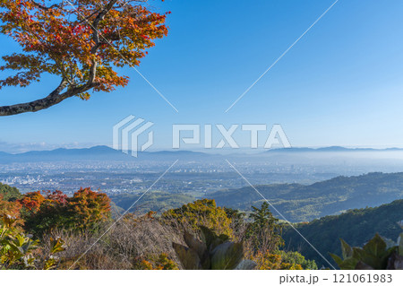 京都　善峯寺　紅葉越しに見る京都市内の絶景 121061983