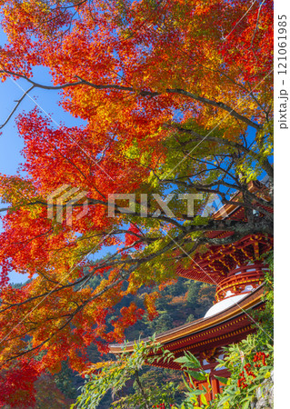 秋の京都　善峯寺　紅葉に包まれた多宝塔 121061985