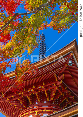 秋の京都　善峯寺　紅葉に包まれた多宝塔 121061987