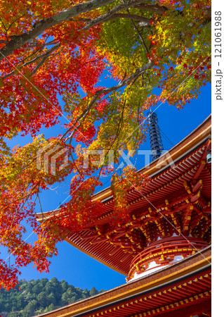 秋の京都 善峯寺 紅葉に包まれた多宝塔 秋の京都 善峯寺 紅葉に包まれた多宝塔 121061988