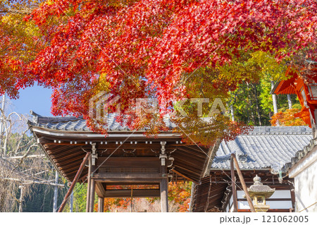 秋の京都　善峯寺　紅葉に包まれた釈迦堂と手水舎 121062005