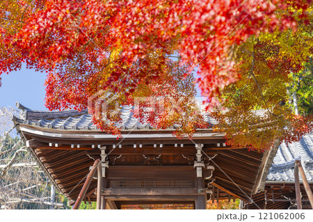 秋の京都　善峯寺　紅葉に包まれた手水舎 121062006