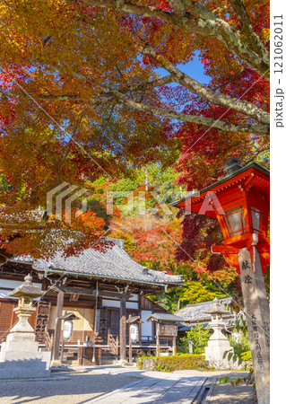 秋の京都 善峯寺 紅葉に包まれた釈迦堂 秋の京都 善峯寺 紅葉に包まれた釈迦堂 121062011
