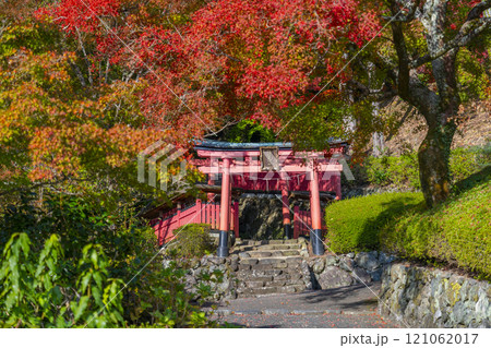 秋の京都 善峯寺 紅葉に包まれた稲荷社 秋の京都 善峯寺 紅葉に包まれた稲荷社 121062017