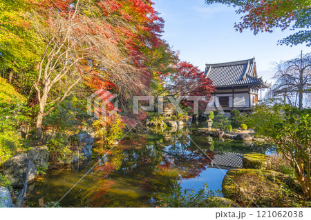 秋の京都　善峯寺　紅葉に包まれた薬師堂と蓮華寿院旧跡庭 121062038