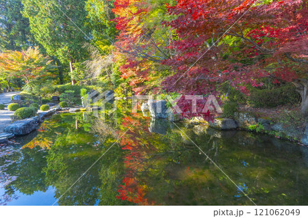 秋の京都　善峯寺　紅葉に包まれた薬師堂と蓮華寿院旧跡庭 121062049