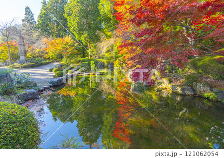 秋の京都 善峯寺 紅葉に包まれた薬師堂と蓮華寿院旧跡庭 秋の京都 善峯寺 紅葉に包まれた薬師堂と蓮華寿院旧跡庭 121062054