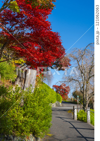 秋の京都　善峯寺　紅葉に包まれた参道 121062063