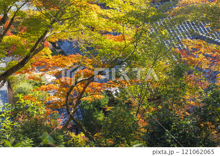 秋の京都　善峯寺　紅葉に包まれた堂宇 121062065