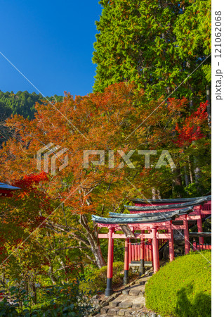 秋の京都　善峯寺　紅葉に包まれた稲荷社 121062068