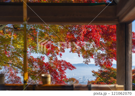 秋の京都　善峯寺　釈迦堂の手水舎越しに見える紅葉 121062070