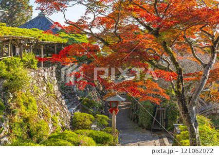 秋の京都 善峯寺 紅葉に包まれた境内 秋の京都 善峯寺 紅葉に包まれた境内 121062072