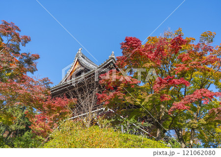 秋の京都 善峯寺 紅葉に包まれた仁王門 秋の京都 善峯寺 紅葉に包まれた仁王門 121062080