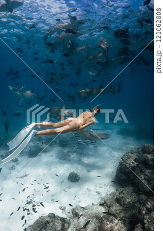 Woman freediver in a tropical sea water glides with nurse sharks in Maldives 121062808