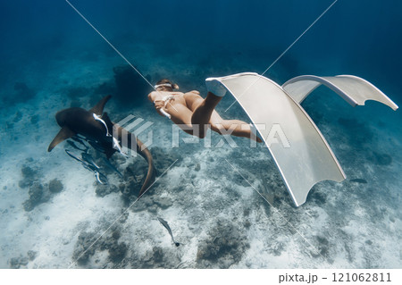 Underwater view of a free diver woman in skin tone swimwear swims with nurse sharks in ocean 121062811