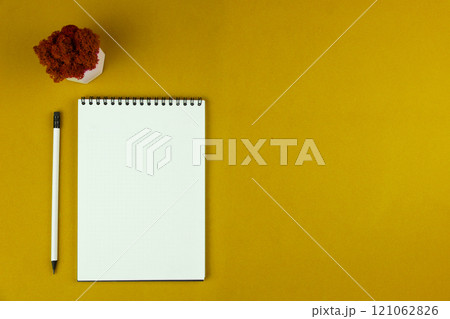 A notebook with an even spring at the top with white pages and a white pencil with a gray lead and a black eraser and an orange moss flower in a white pot that stands on top of the banknote and pencil A notebook with an even spring at the top with white pages and a white pencil with a gray lead and a black eraser and an orange moss flower in a white pot that stands on top of the banknote and pencil 121062826