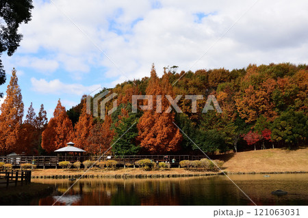 古賀グリーンパークの紅葉 121063031