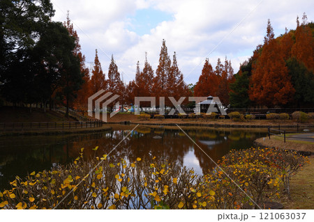 古賀グリーンパークの紅葉 古賀グリーンパークの紅葉 121063037