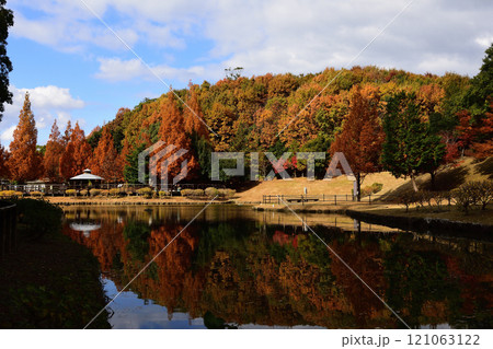 古賀グリーンパークの紅葉 古賀グリーンパークの紅葉 121063122