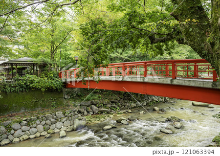 伊豆修善寺　桂橋　静岡県伊豆市 121063394