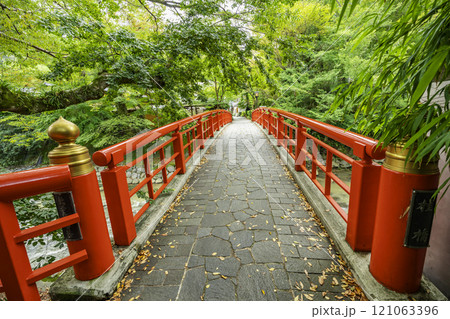 伊豆修善寺　桂橋　静岡県伊豆市 121063396