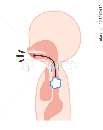 食道発声の仕組みのイラスト 121063955