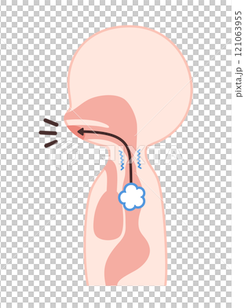食道発声の仕組みのイラスト 121063955