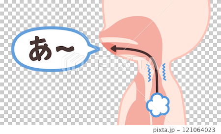 食道発声の仕組みのイラスト 121064023