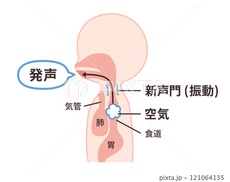 食道発声の仕組みのイラスト 121064135