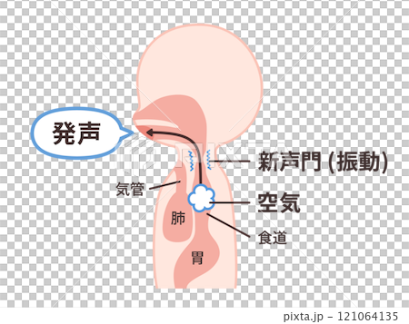 食道発声の仕組みのイラスト 121064135