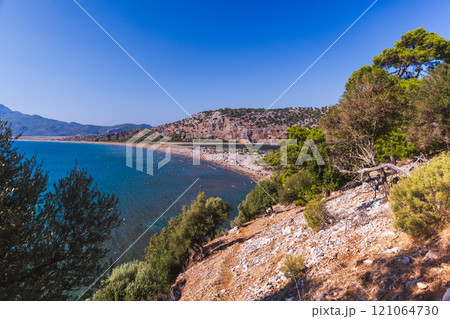 Pine trees grow on a rocky sea coast on a sunny summer day 121064730