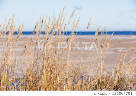 Winter beach landscape, Gulf of Finland on a sunny day in December 121064791