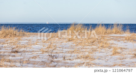 Panoramic winter beach landscape with sand and dry grass Panoramic winter beach landscape with sand and dry grass 121064797