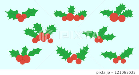 Christmas holly and berries, mistletoe plant set. 121065035