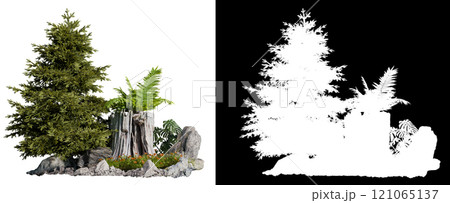 plant group and tree with rock 121065137