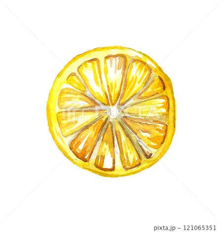 Slice of Lemon fruits. Isolated hand drawn watercolor illustration. Slice of Lemon fruits. Isolated hand drawn watercolor illustration. 121065351