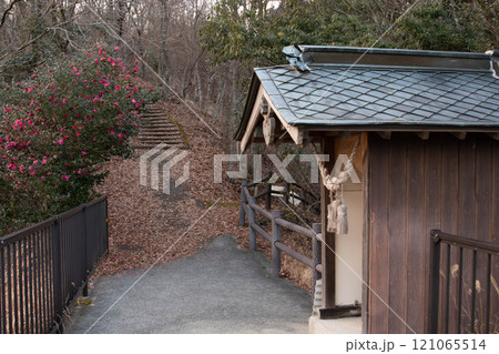 玖珠郡（玖珠町）　西椎屋の滝 121065514