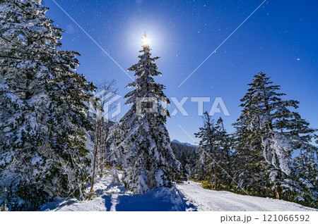 冬の八ヶ岳連峰・北横岳の冬景色（木と太陽） 121066592