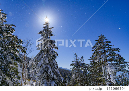 冬の八ヶ岳連峰・北横岳の冬景色（木と太陽） 121066594