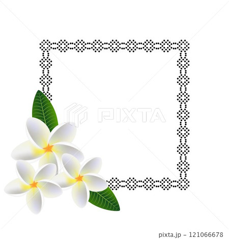 Floral frame with flowers frangipani (Plumeria) with leaves. Floral frame with flowers frangipani (Plumeria) with leaves. 121066678