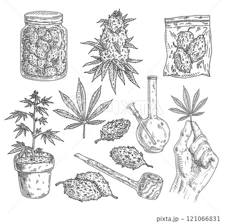 Set Marijuana. Buds, hand hold leaf, plant in pot, pipe, bong, glass jar, plastic bag. Vintage vector engraving Set Marijuana. Buds, hand hold leaf, plant in pot, pipe, bong, glass jar, plastic bag. Vintage vector engraving 121066831