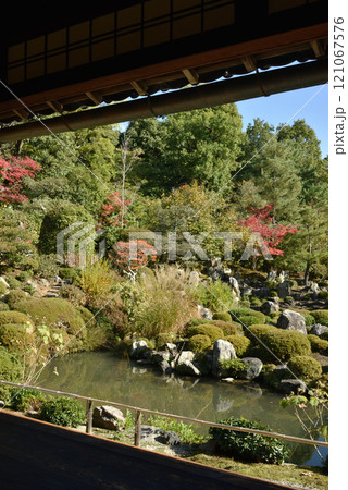 秋の等持院　書院から見る庭園「芙蓉池」 121067576