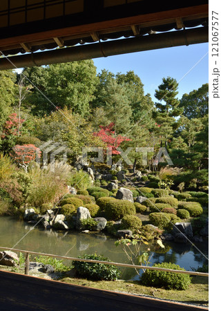 秋の等持院　書院から見る庭園「芙蓉池」 121067577